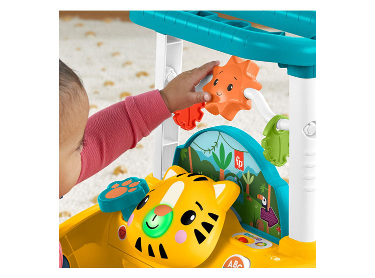 FISHER-PRICE ANDADERA PARA BEBÉS DE DOS LADOS PRIMEROS PASOS