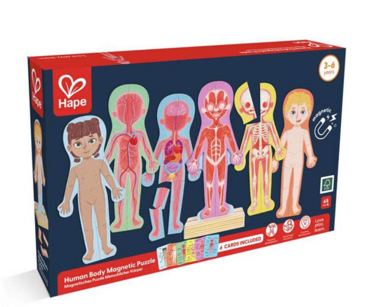 Puzzle magnético del cuerpo humano